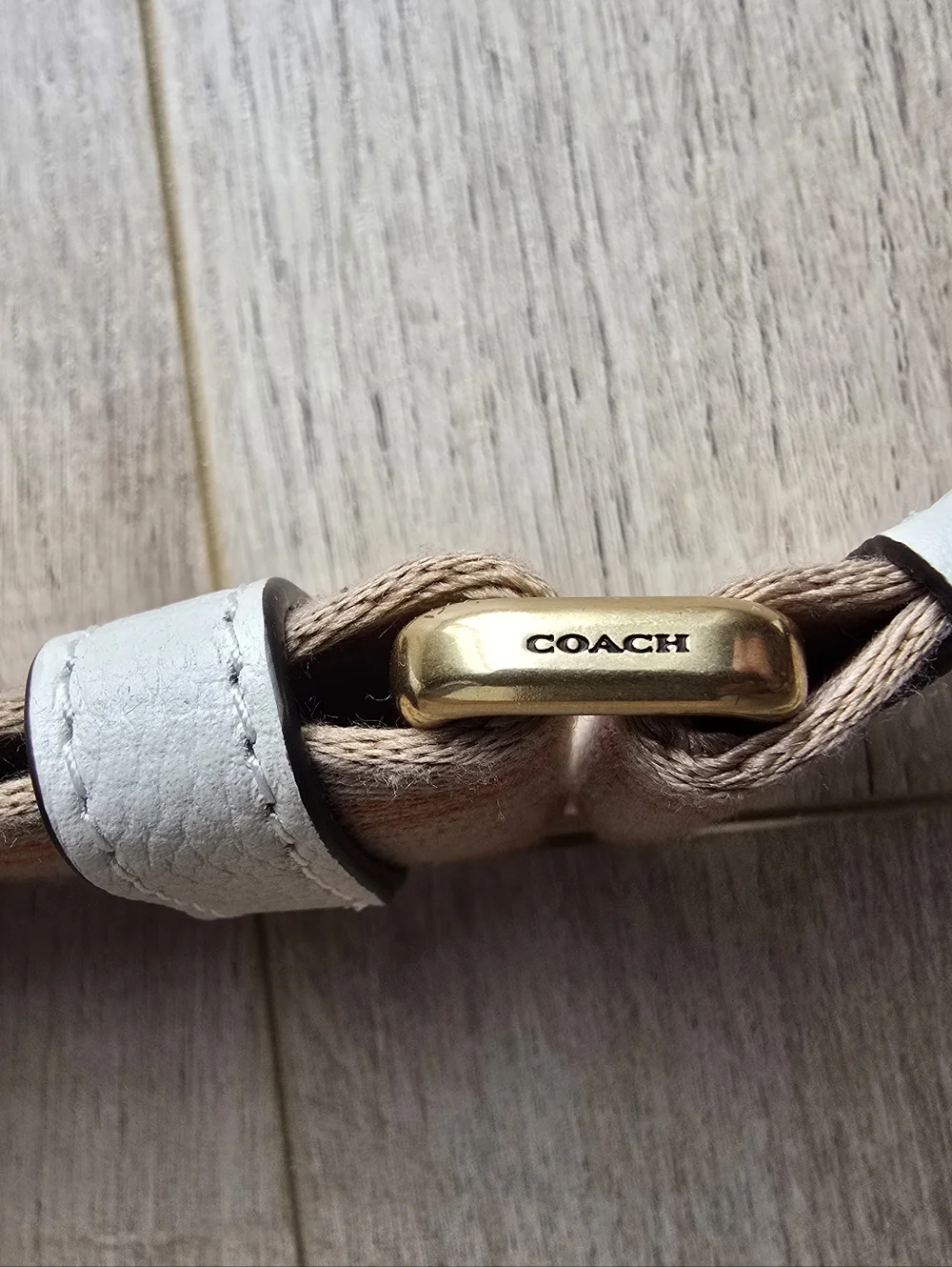 Coach Web Strap - Picture 4 of 5